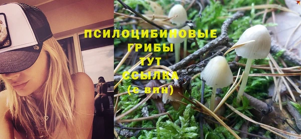 твердый Навашино