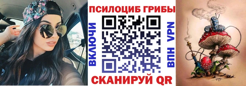 Псилоцибиновые грибы GOLDEN TEACHER  наркошоп  Россошь 